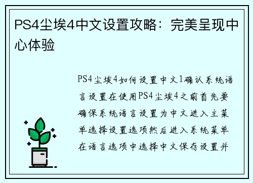PS4尘埃4中文设置攻略：完美呈现中心体验