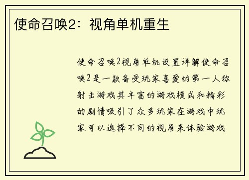 使命召唤2：视角单机重生
